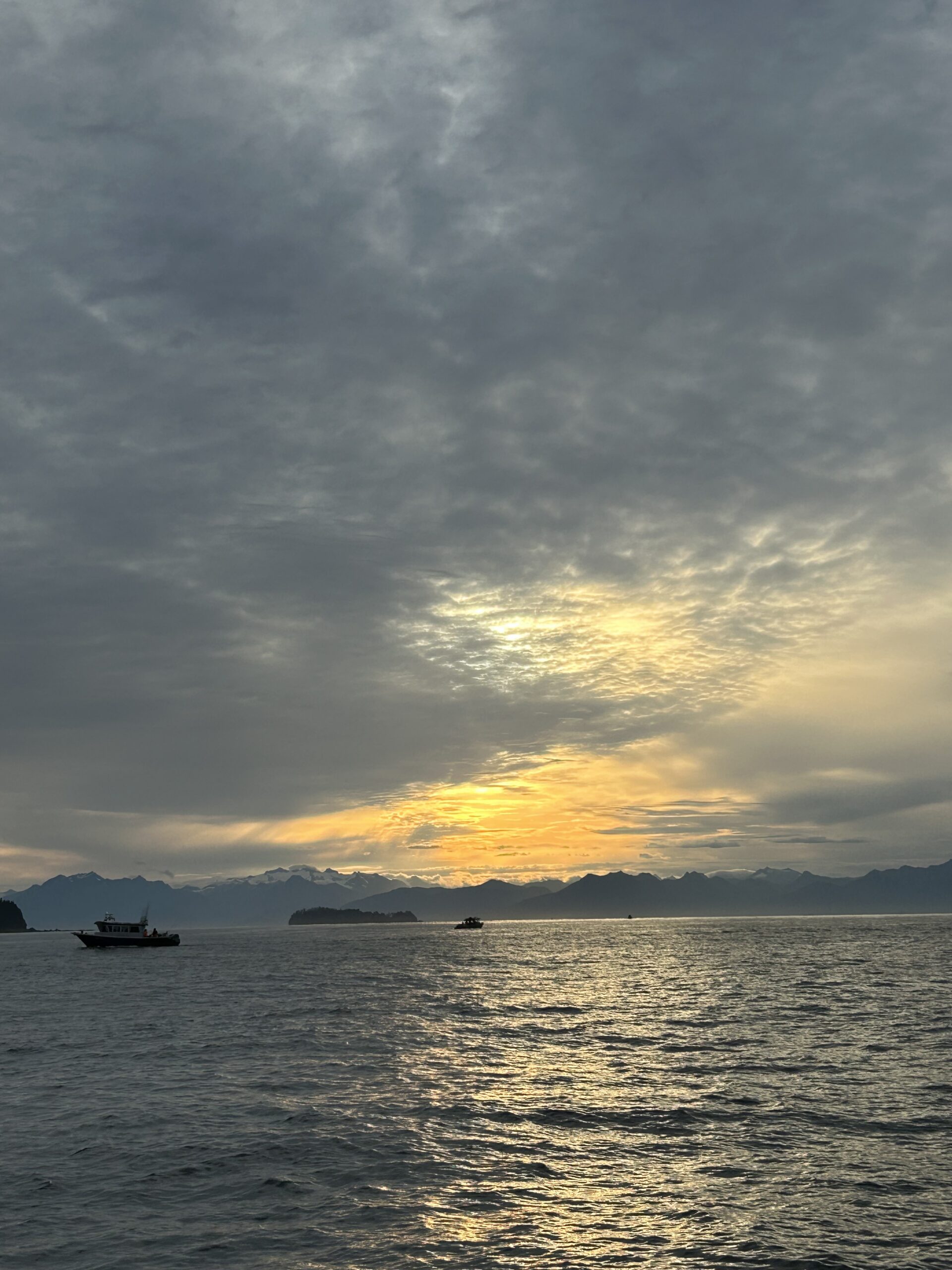 Fault and Negligence in Wrongful Deaths