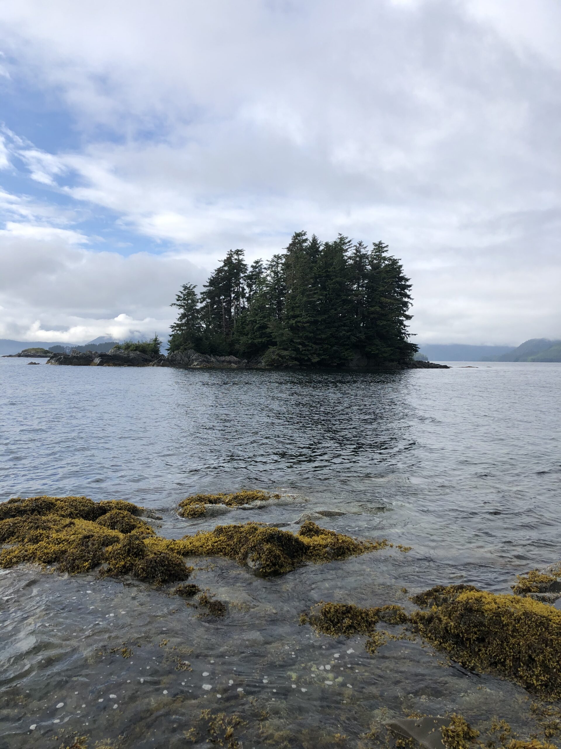 Survival is Just the Beginning: Why We Focus on Long-Term Quality of Life After Trauma