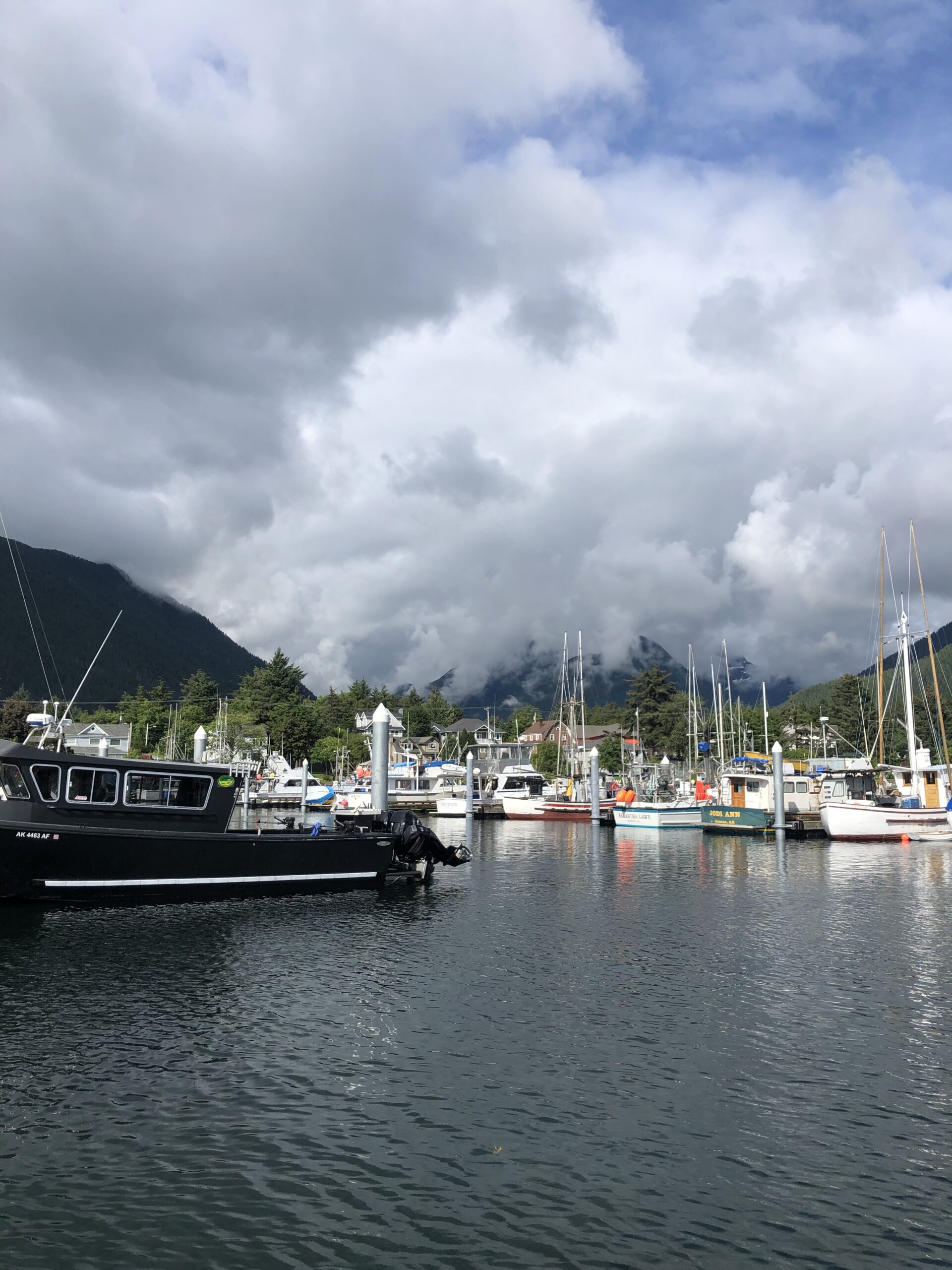 Resources if You Are the Survivor of Career-Based Intimate Partner Violence