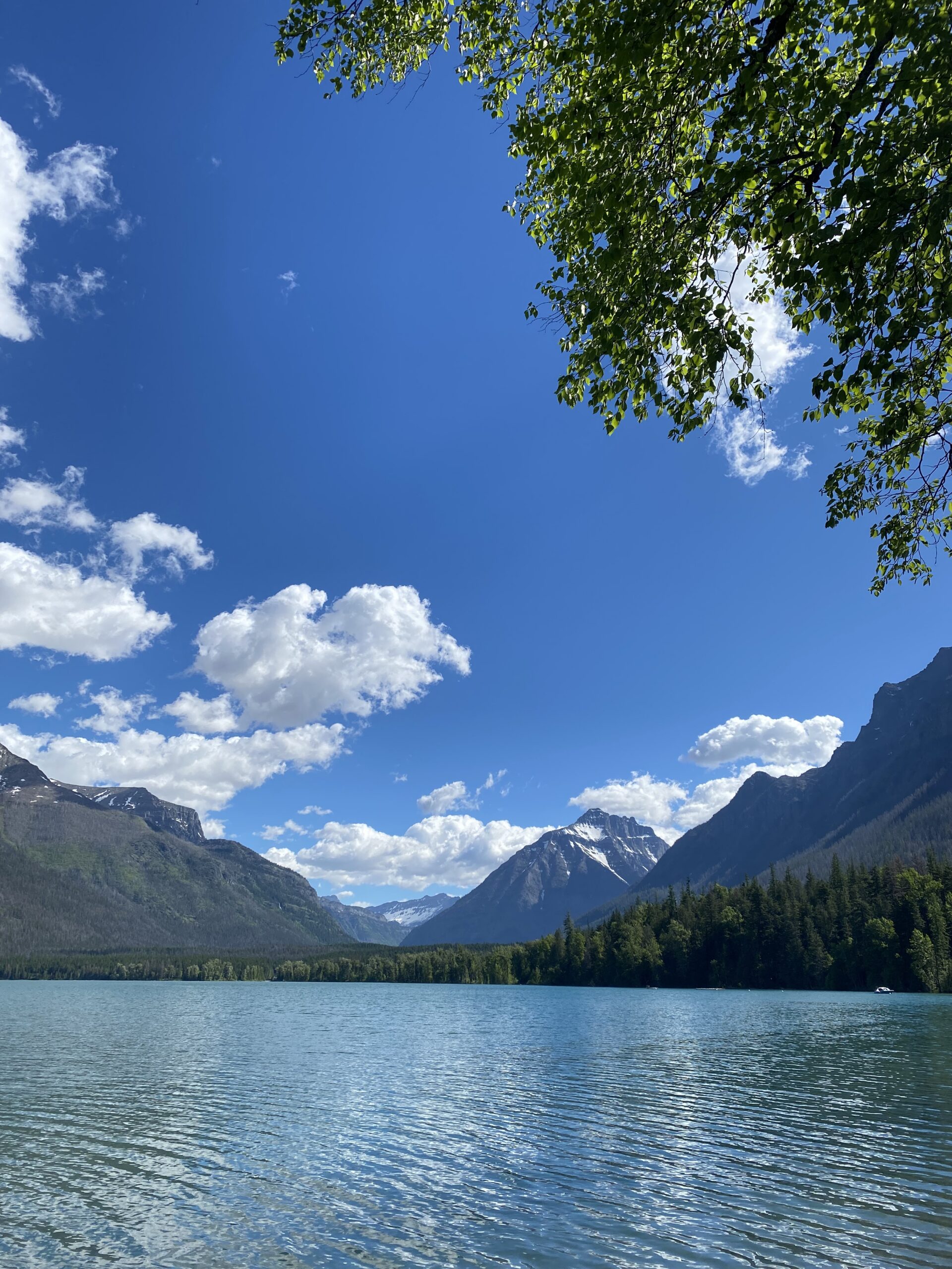 Resources for Driver Negligence and E-Scooters, E-bikes, Skateboard and Bicycle Injuries